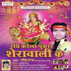 Ravi Kare La Pukar Sherawali Ke image