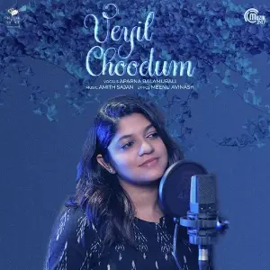 Veyil Choodum image