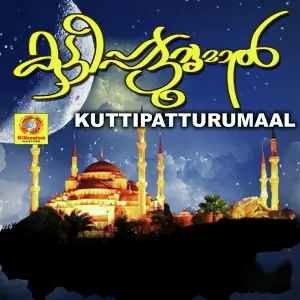 Kuttipatturumaal image