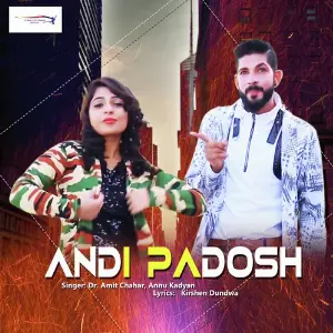 Andi Padosh image