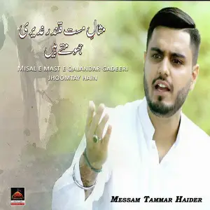 Misal e Mast e Qalandar Ghadeeri Jhoomte Hain image