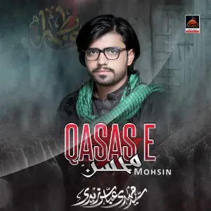 Qasas e Mohsin image