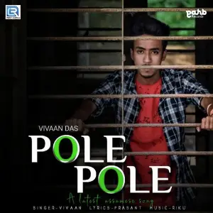 Pole Pole image