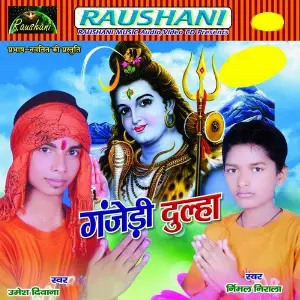Gajeri Dulha image