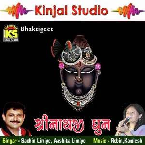 Shreenathji Dhun image