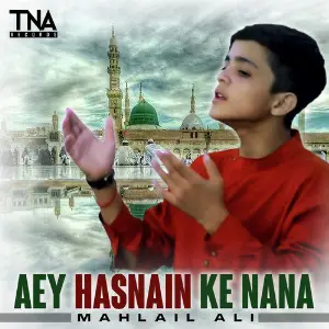 Aey Hasnain Ke Nana - Single image