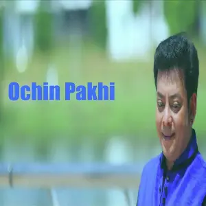 Ochin Pakhi - Single image