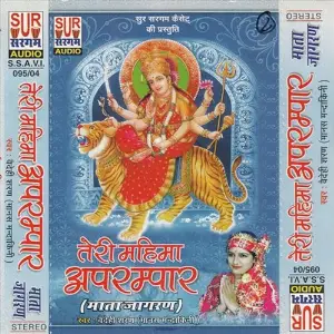 Teri Mahima Aprampar-Hindi Devi Geet Vaidehi Saran