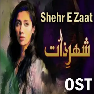 Yaar Ko Hamne Ja Baja Dekha (From Shehr E Zaat) image