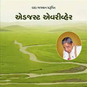 Adjust Everywhere image