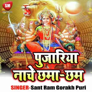 Pujriya Nache Chamacham image