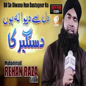 Dil Se Diwana Hun Dastageer Ka - Single image