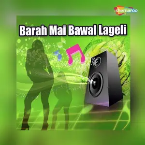 Barah Mai Bawal Lageli image
