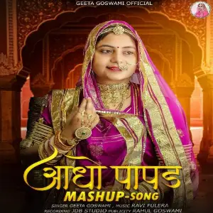 Aadho Papad Mashup Song image