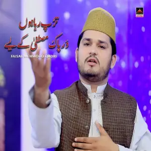 Tarap Raha Hoon Dar Pak Mustafa Ke Liye image