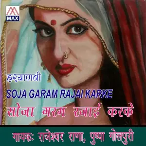 Soja Garam Rajai Karke image