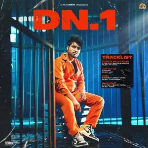 DN.1 D Naveen