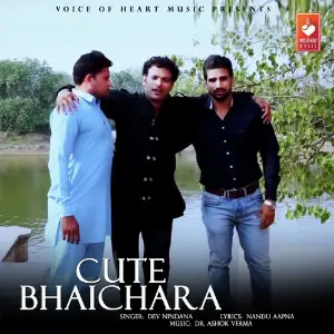 Cute Bhaichara image