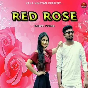 Red Rose Rahul Puhal