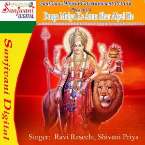 Durga Maiya Ke Anna Sher Aiyel Ho image