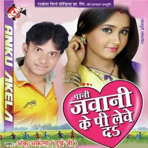 Pani Jawani Ke Pilewe Da image