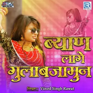 Byan Laage Gulab Jamun image