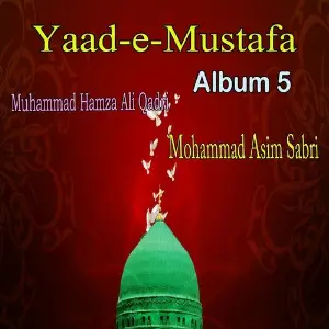 Yaad-e-Mustafa, Al. 5 image