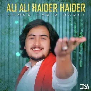 Ali Ali Haider Haider - Single image