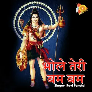 Bhole Teri Bam Bam image