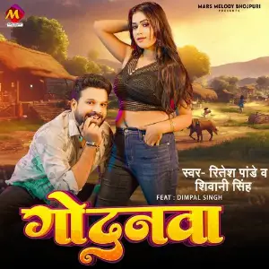 Godanwa (feat. Dimpal Singh) image
