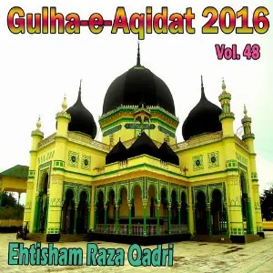 Gulha-e-Aqidat 2016, Vol. 48 image