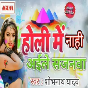 Holi Me Nahi Aayile Sajanwa image