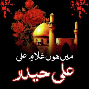 Ali Haider - Mein Hon Ghulam E Ali image