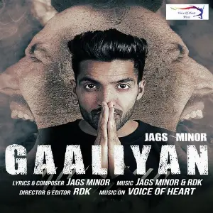 Gaaliyan image