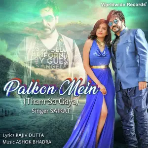 Palkon Mein image