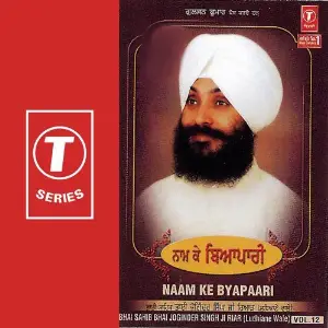 Naam Ke Byapaari (Vol. 12) Bhai Joginder Singh Riar, Vinay Kumar