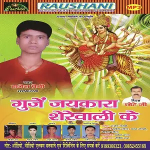 Gunje Jaikara Sherawali Ke image