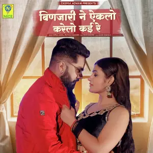 BINJARI NE EKLO KARELO KAI RE image