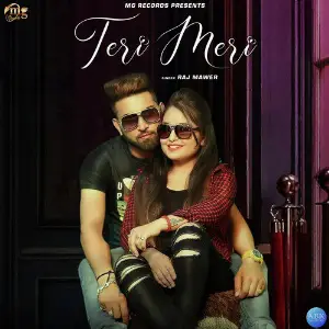 Teri Meri - Single image