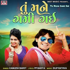 Tu Mane Gami Gai image
