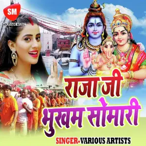 Raja Ji Bhukham Somari image