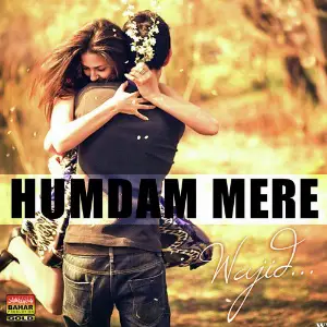 Humdam Mere image