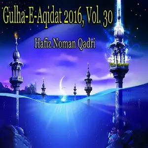 Gulha-e-Aqidat 2016, Vol. 30 image