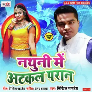 Nathuni Me Atkal Paran image