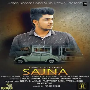 Sajna image