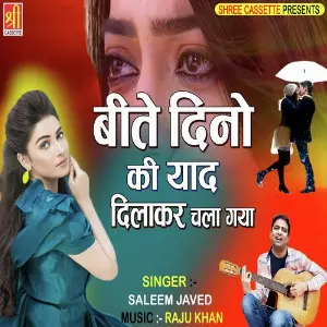 Beete Dino Ki Yaad Dilakar Chala Gaya image
