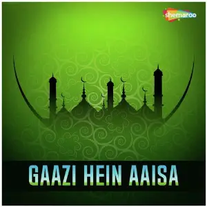Gaazi Hein Aaisa image