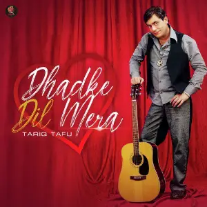 Dhadke Dil Mera - Single image