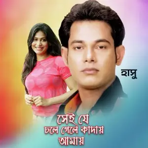 Sei Je Chole Gele Kadhiye Amay image