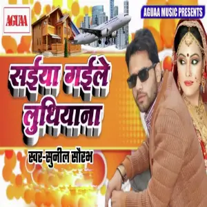 Saiya Gaile Ludhiyana image